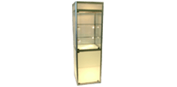 Custom Display case